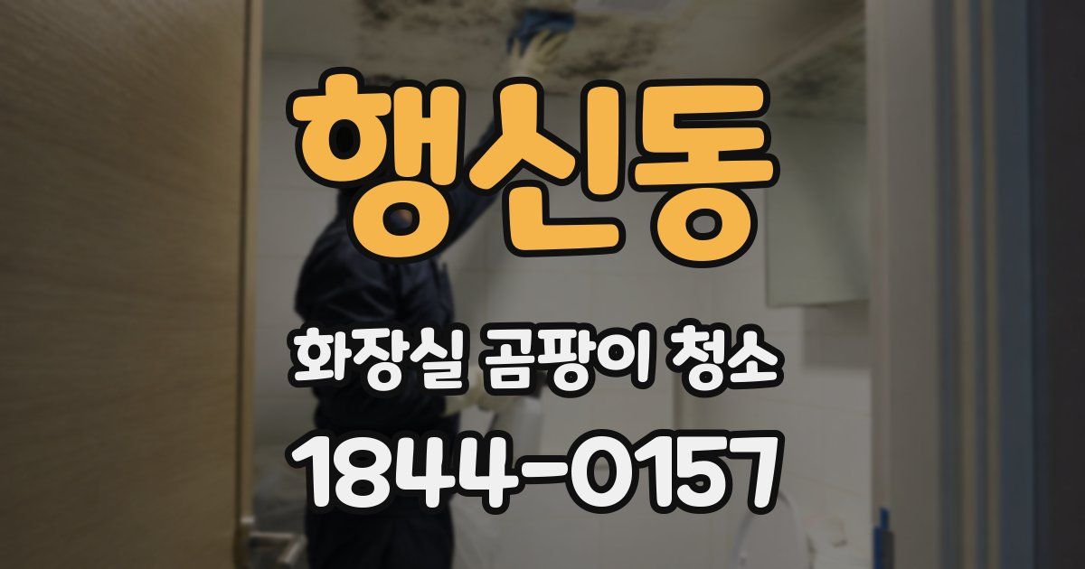 행신동 화장실 곰팡이 청소