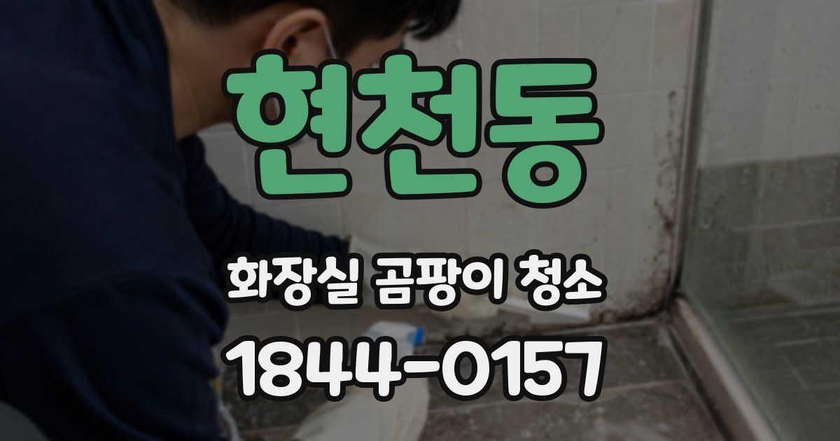 현천동 화장실 곰팡이 청소
