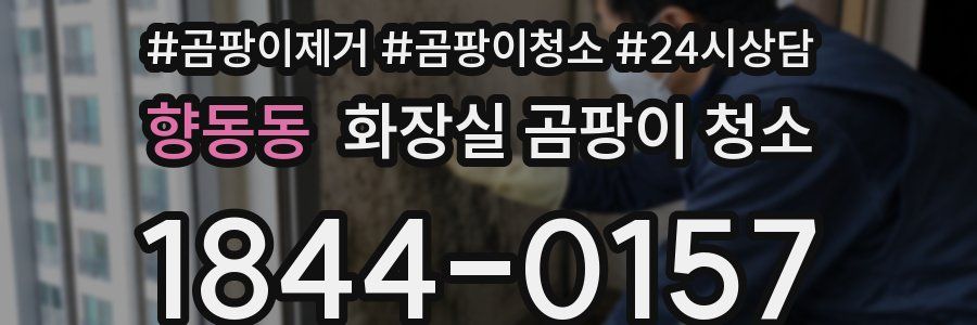향동동 화장실 곰팡이 청소