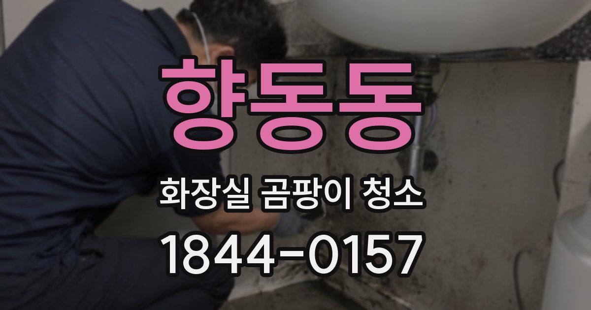향동동 화장실 곰팡이 청소