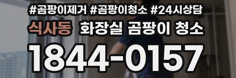 식사동 화장실 곰팡이 청소