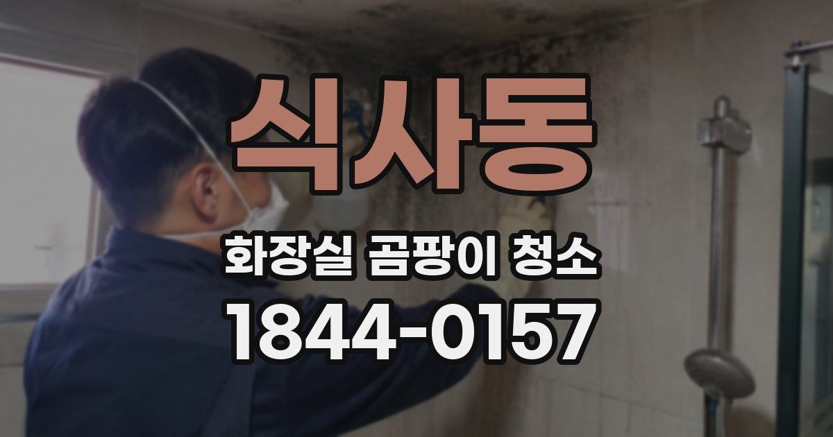 식사동 화장실 곰팡이 청소