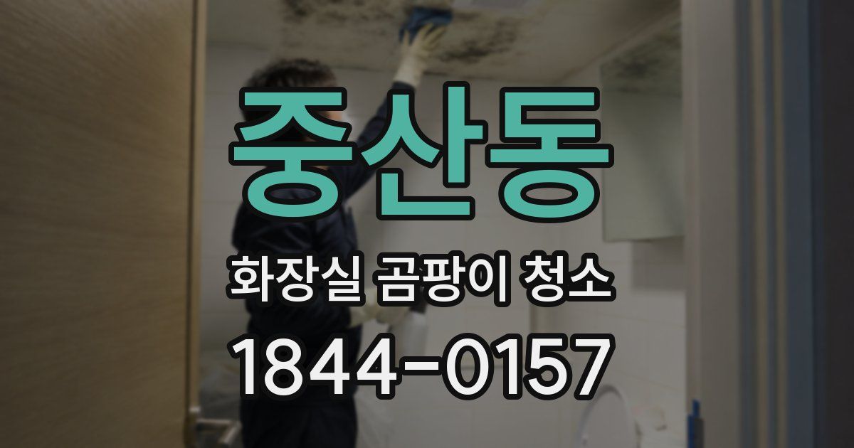 중산동 화장실 곰팡이 청소
