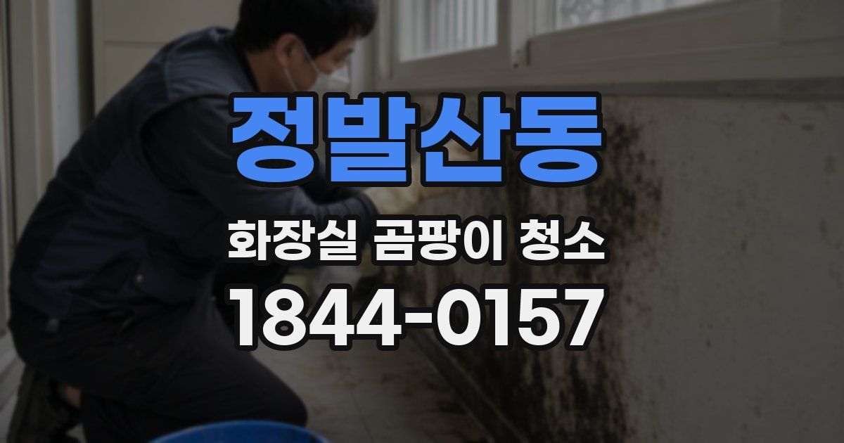 정발산동 화장실 곰팡이 청소