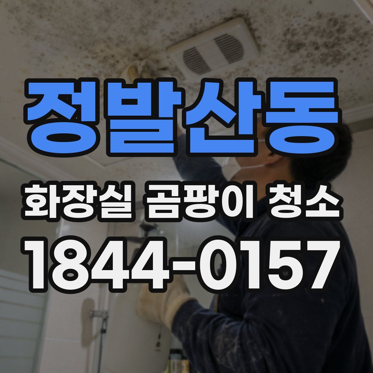 정발산동 화장실 곰팡이 청소