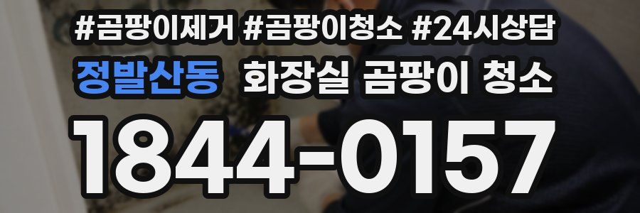 정발산동 화장실 곰팡이 청소