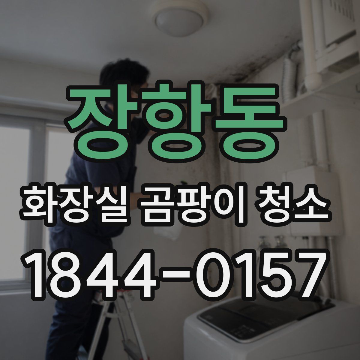 장항동 화장실 곰팡이 청소