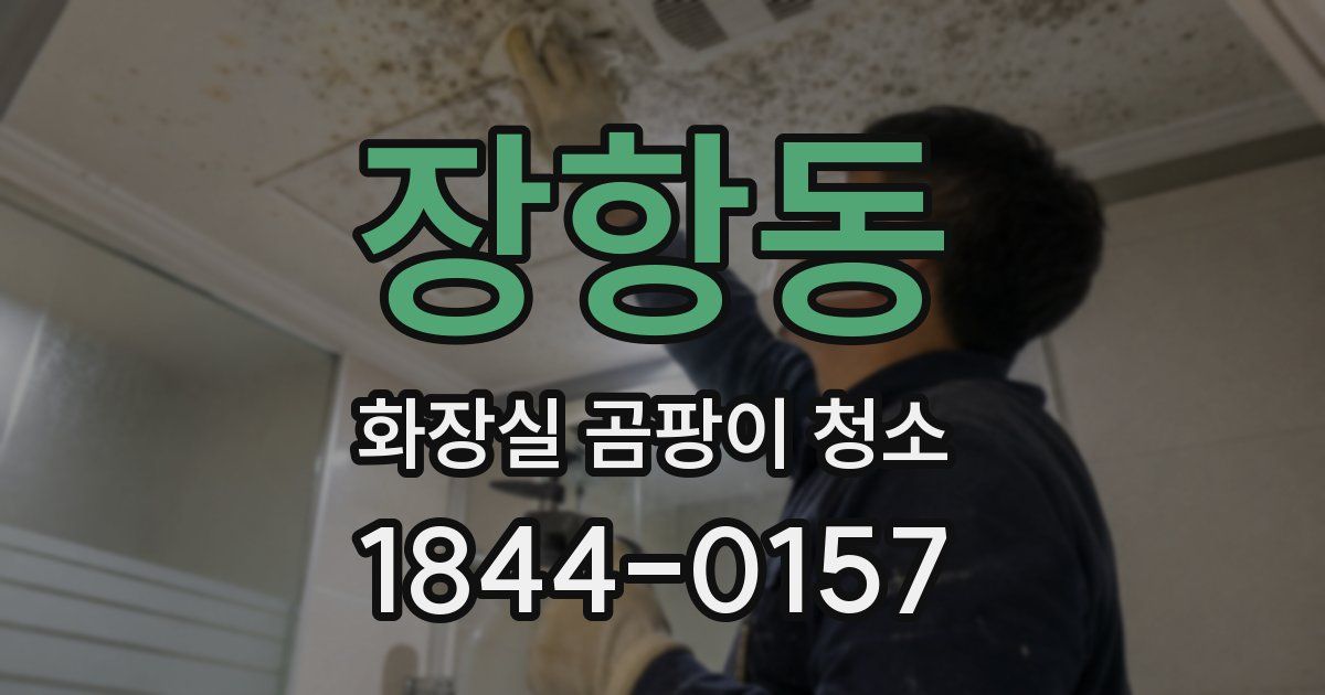 장항동 화장실 곰팡이 청소