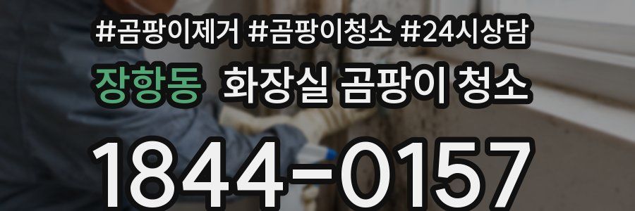 장항동 화장실 곰팡이 청소