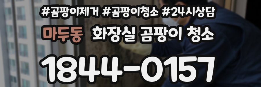 마두동 화장실 곰팡이 청소
