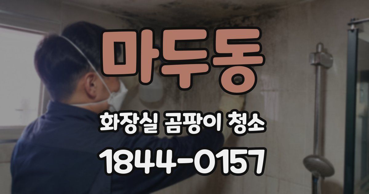 마두동 화장실 곰팡이 청소