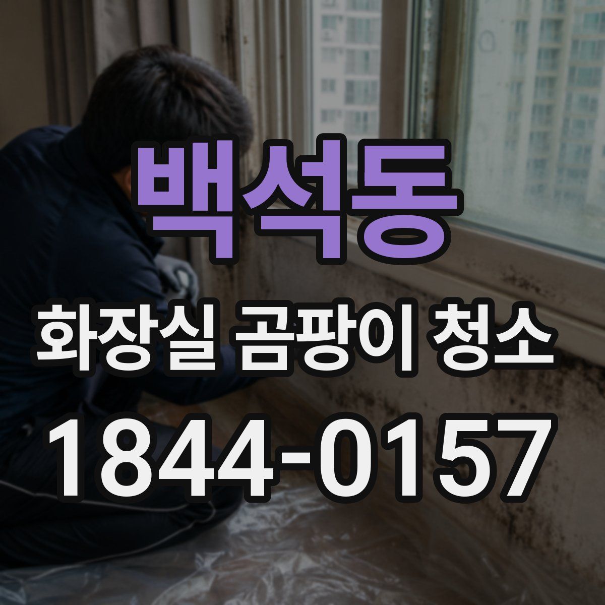 백석동 화장실 곰팡이 청소