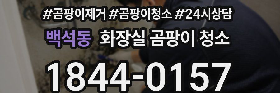 백석동 화장실 곰팡이 청소