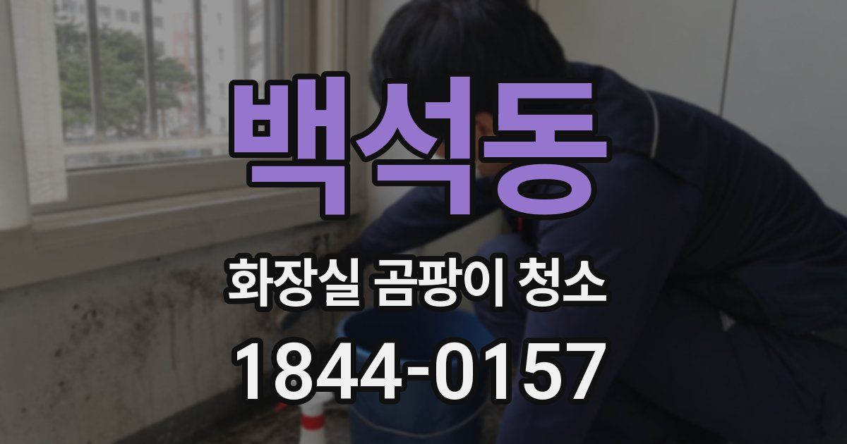 백석동 화장실 곰팡이 청소