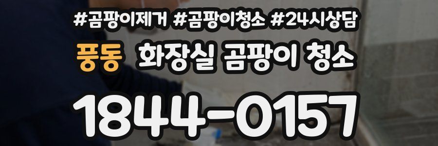 풍동 화장실 곰팡이 청소