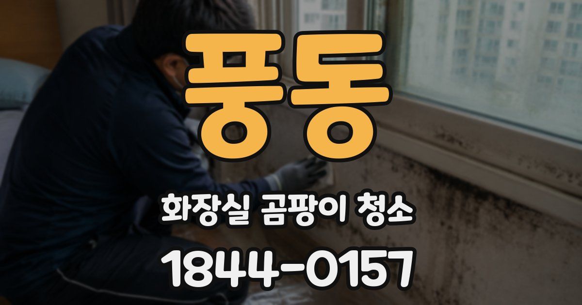 풍동 화장실 곰팡이 청소