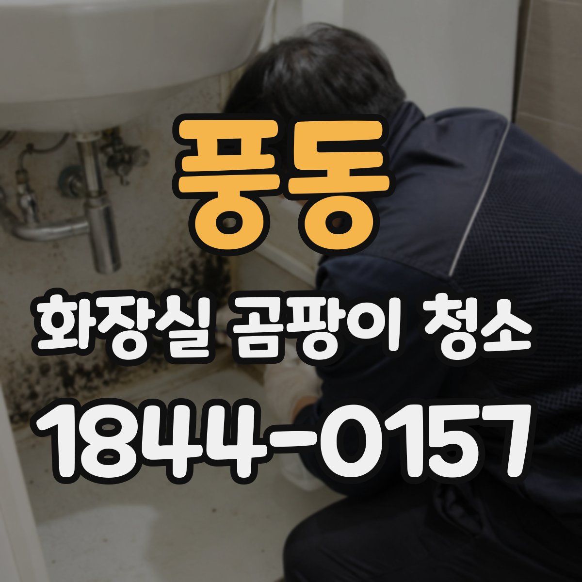 풍동 화장실 곰팡이 청소