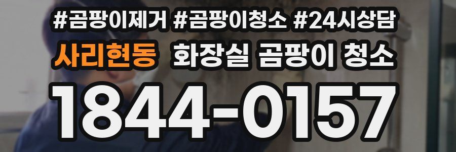 사리현동 화장실 곰팡이 청소
