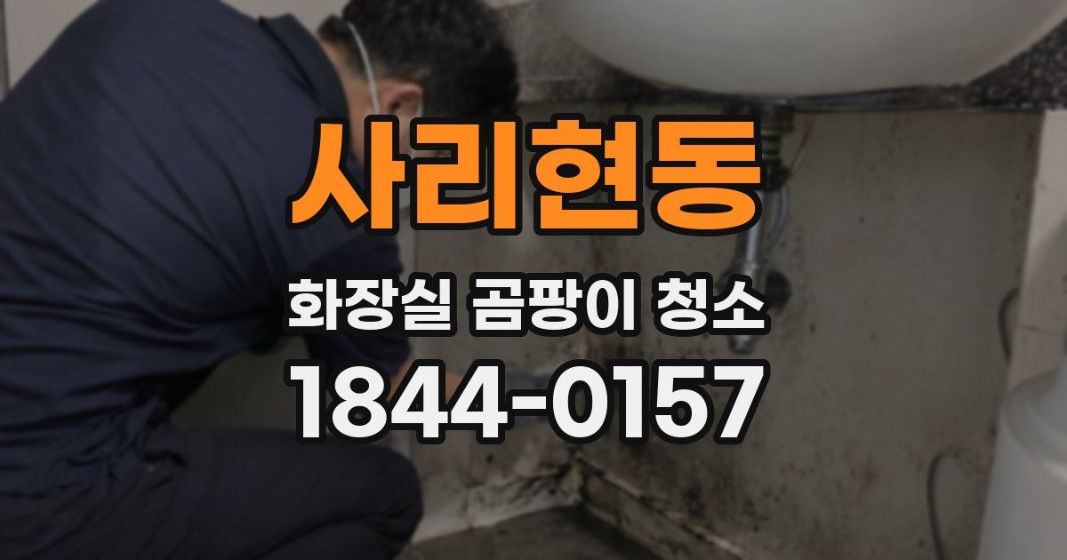 사리현동 화장실 곰팡이 청소