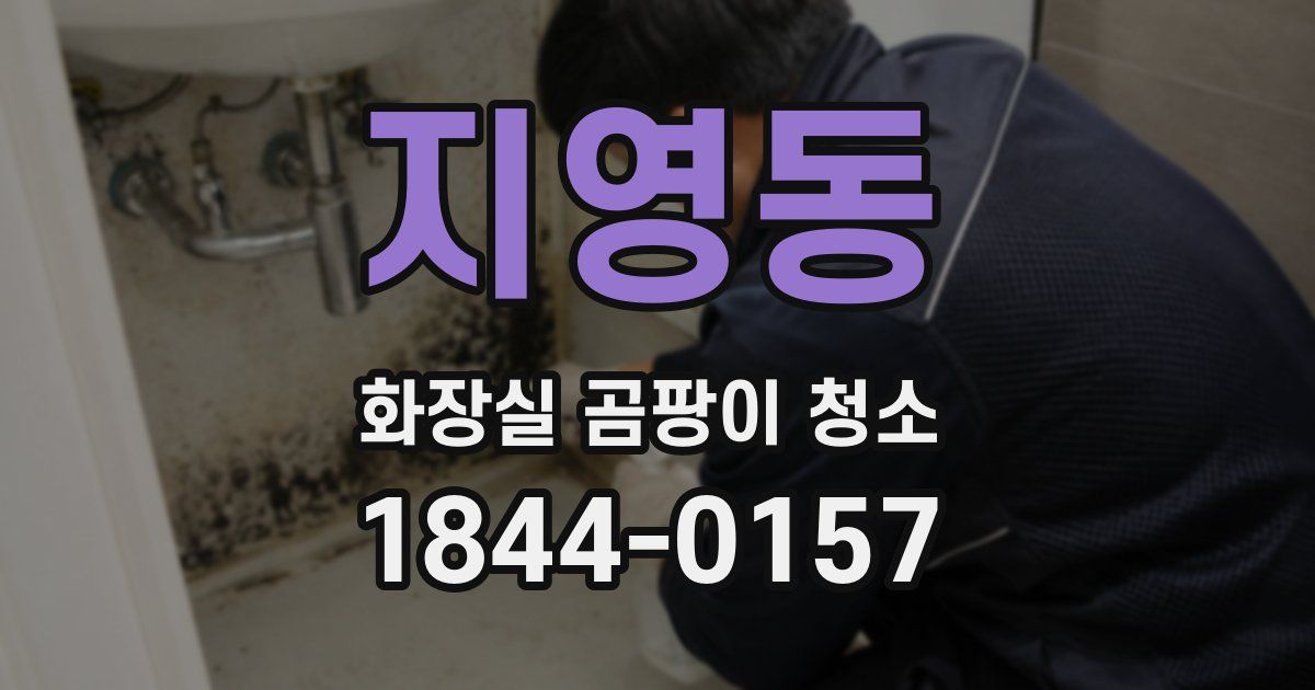 지영동 화장실 곰팡이 청소