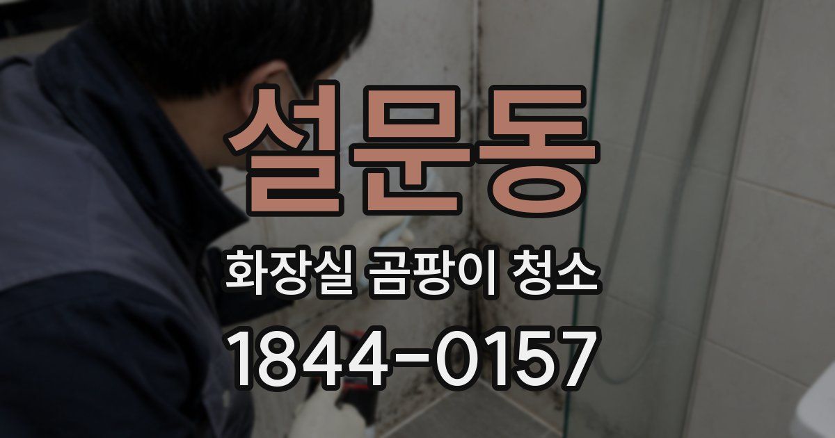 설문동 화장실 곰팡이 청소