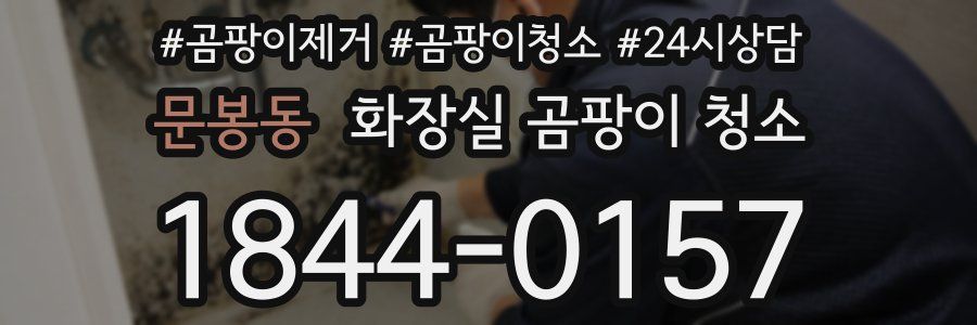 문봉동 화장실 곰팡이 청소