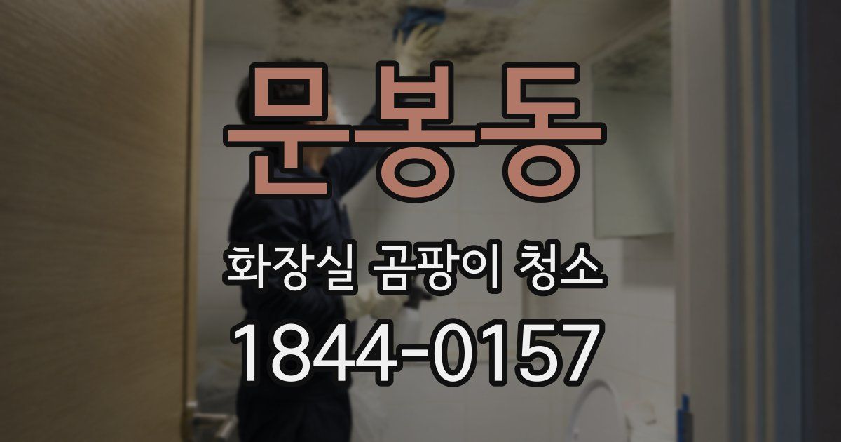 문봉동 화장실 곰팡이 청소