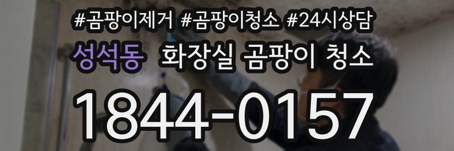 성석동 화장실 곰팡이 청소
