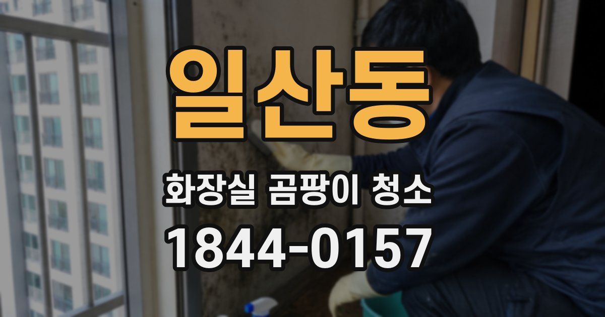 일산동 화장실 곰팡이 청소