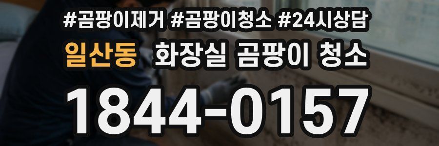 일산동 화장실 곰팡이 청소