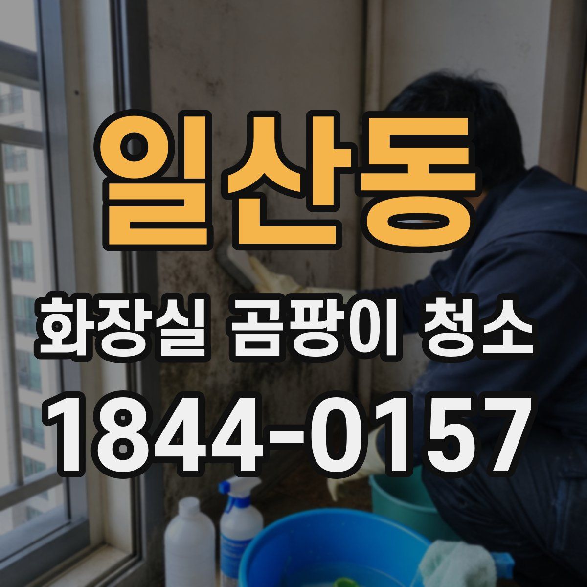 일산동 화장실 곰팡이 청소