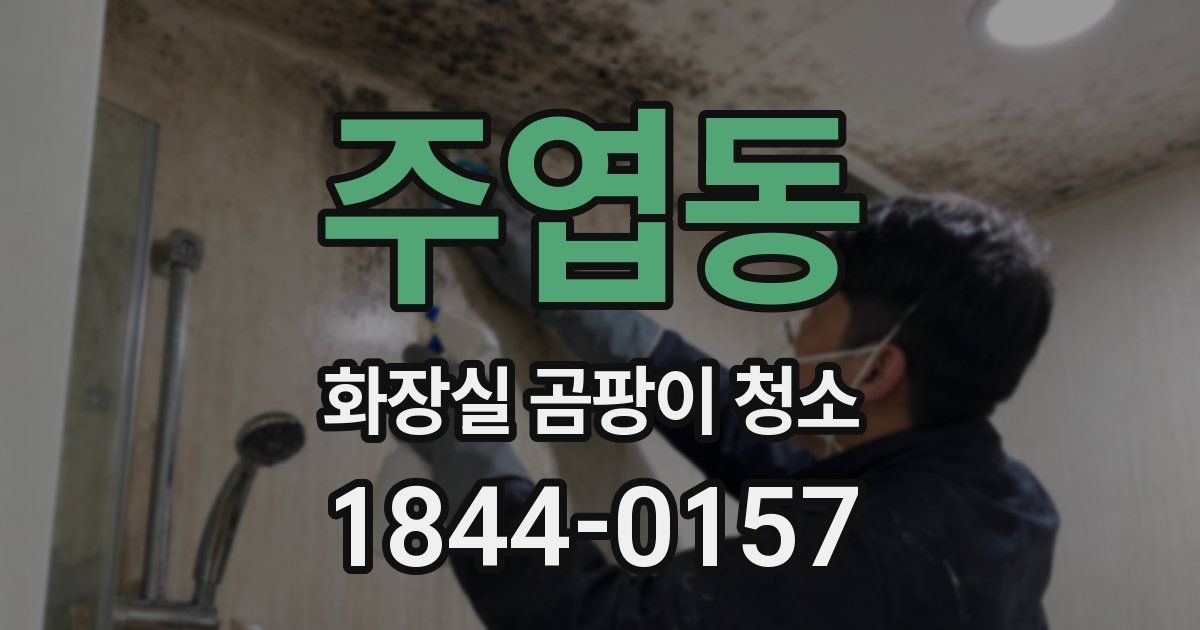 주엽동 화장실 곰팡이 청소