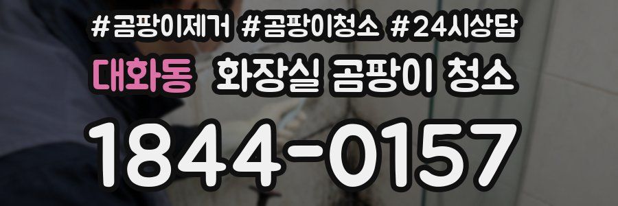 대화동 화장실 곰팡이 청소