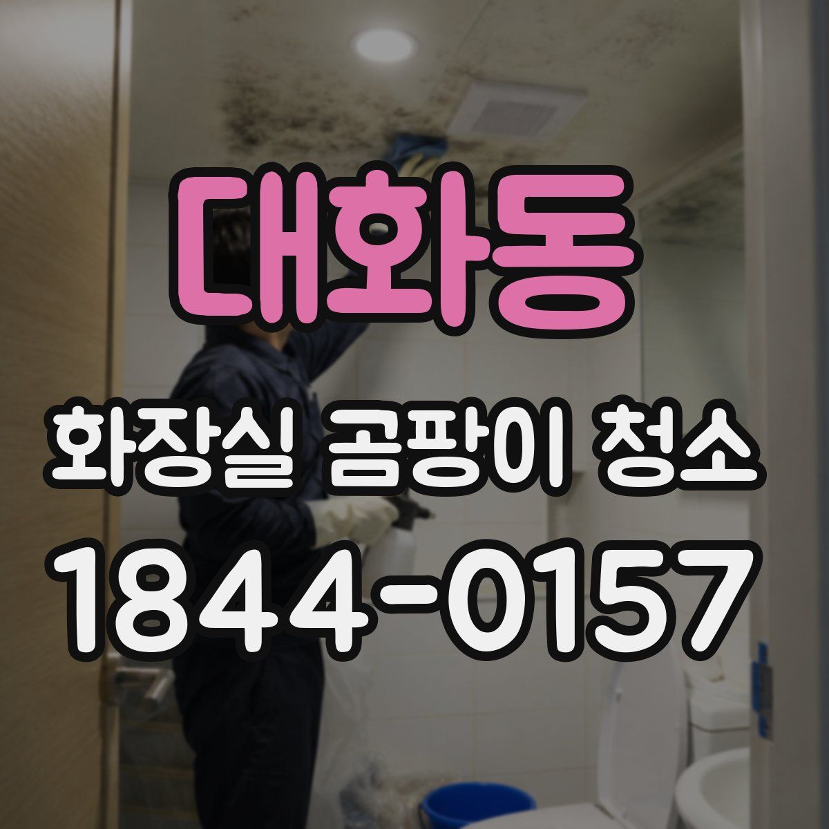 대화동 화장실 곰팡이 청소