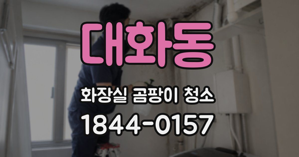 대화동 화장실 곰팡이 청소