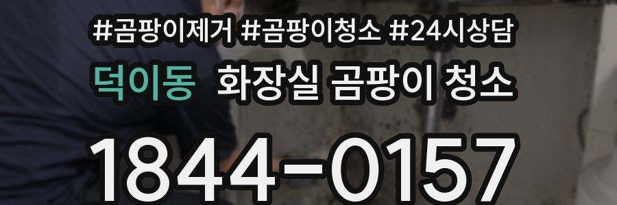 덕이동 화장실 곰팡이 청소