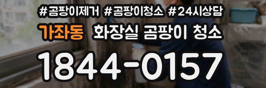 가좌동 화장실 곰팡이 청소