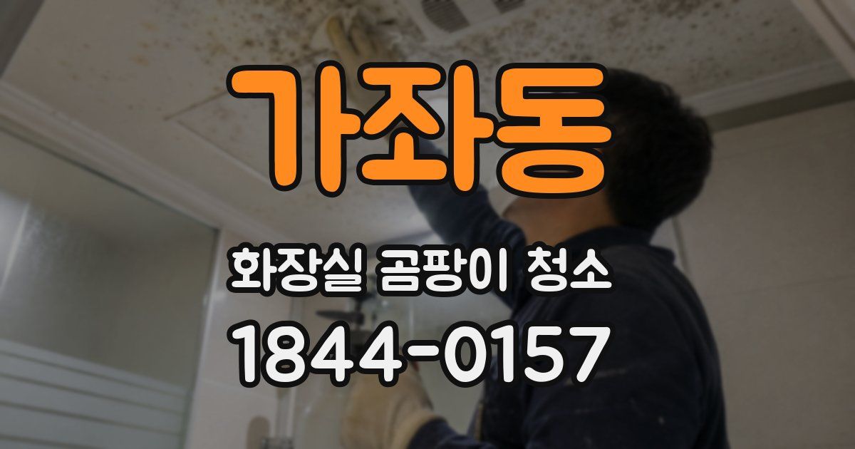 가좌동 화장실 곰팡이 청소