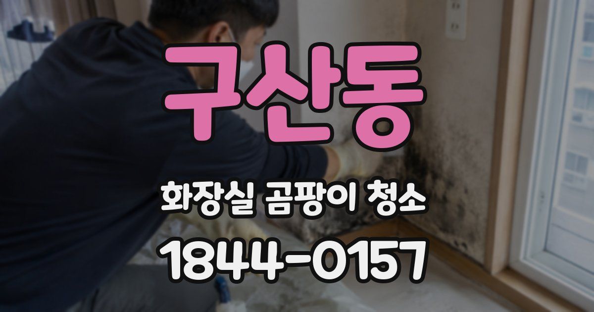 구산동 화장실 곰팡이 청소