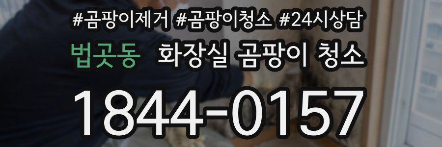 법곳동 화장실 곰팡이 청소