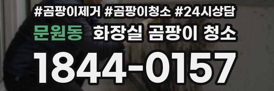 문원동 화장실 곰팡이 청소