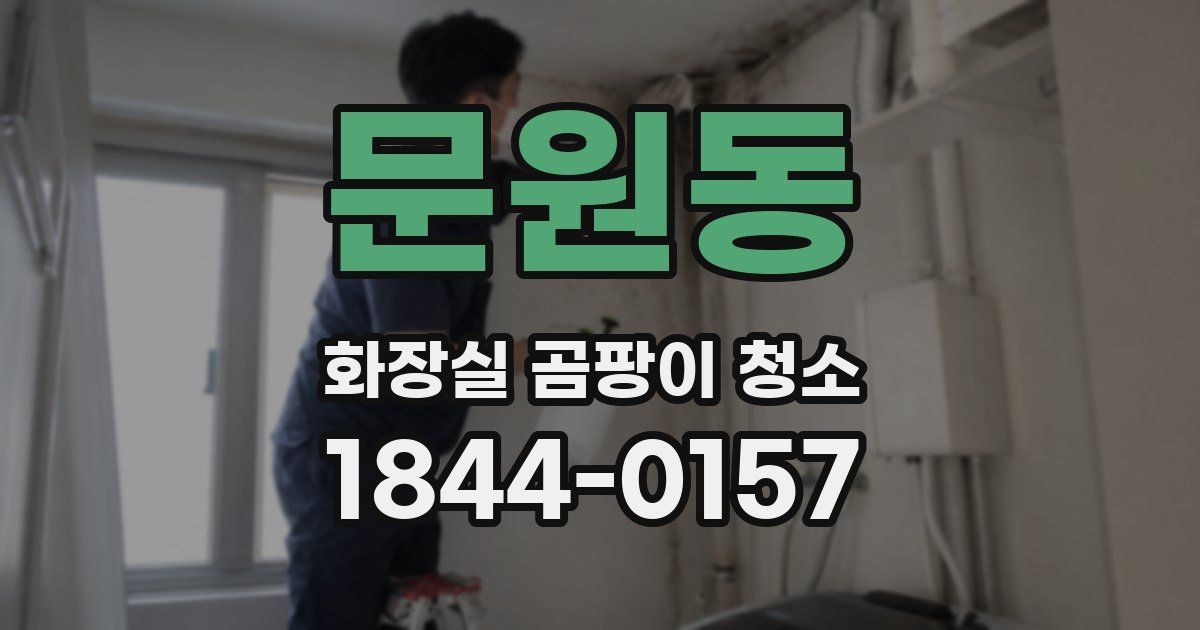 문원동 화장실 곰팡이 청소