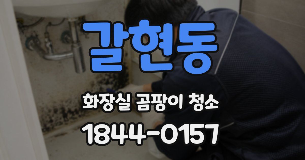 갈현동 화장실 곰팡이 청소