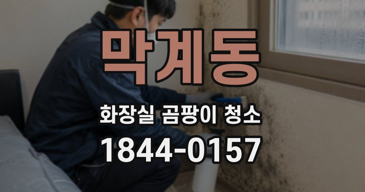 막계동 화장실 곰팡이 청소