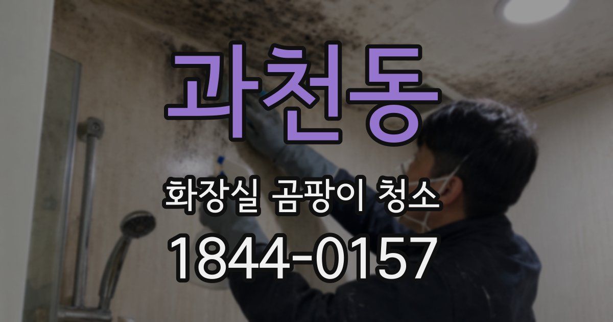 과천동 화장실 곰팡이 청소