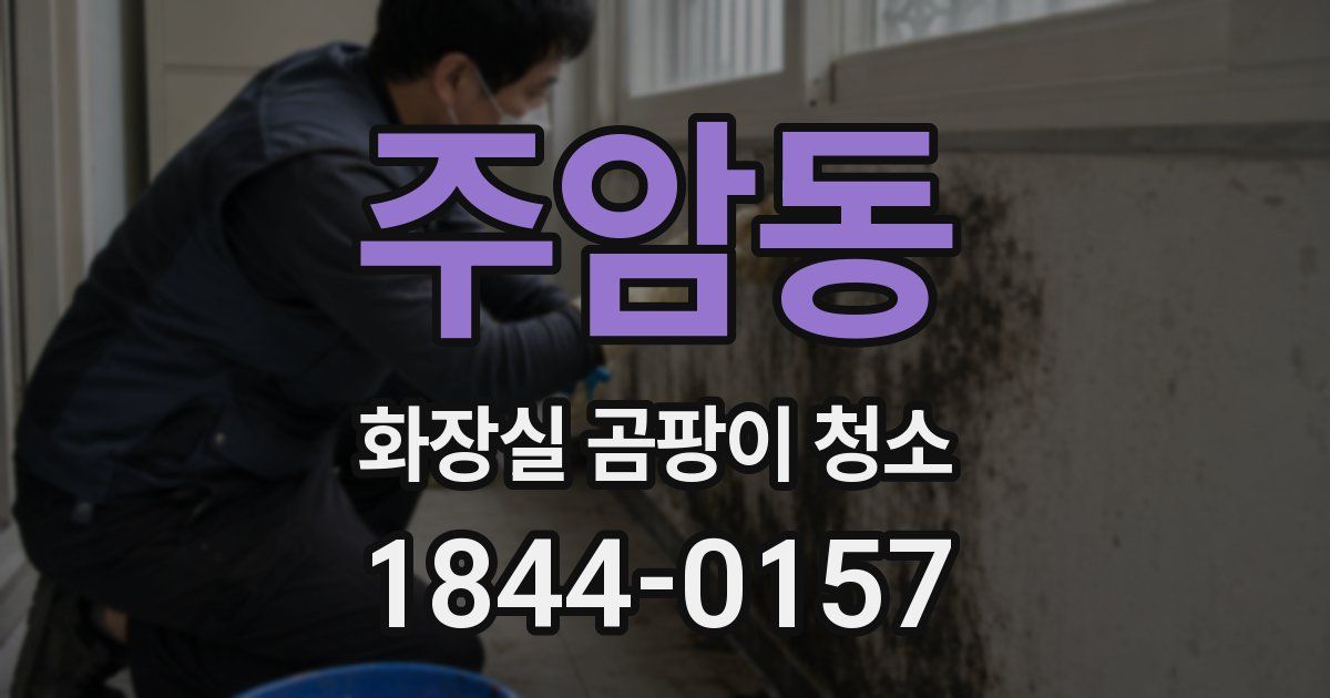 주암동 화장실 곰팡이 청소