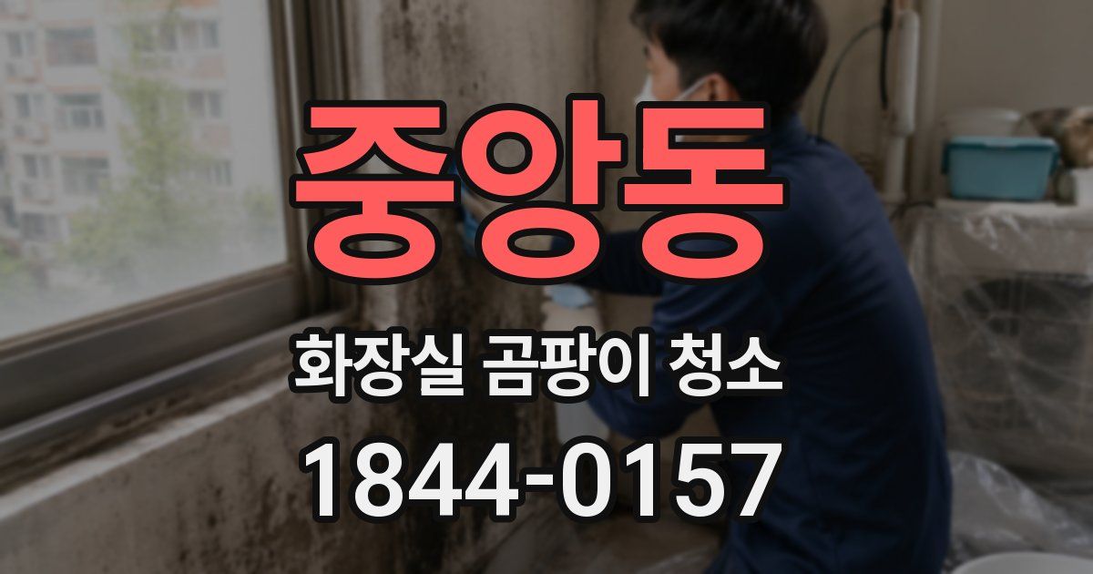 중앙동 화장실 곰팡이 청소