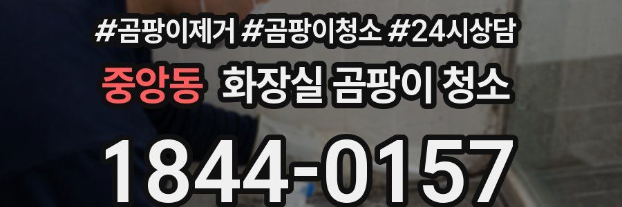 중앙동 화장실 곰팡이 청소