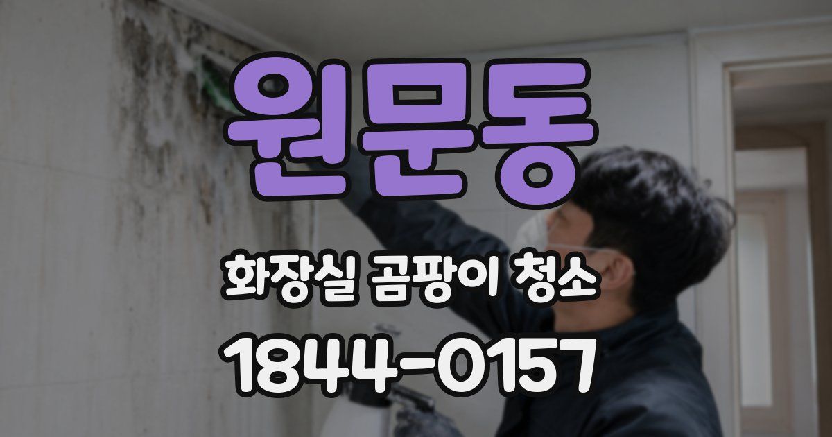 원문동 화장실 곰팡이 청소