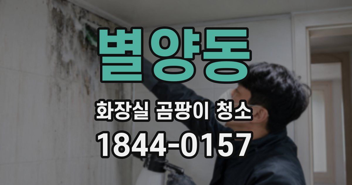 별양동 화장실 곰팡이 청소